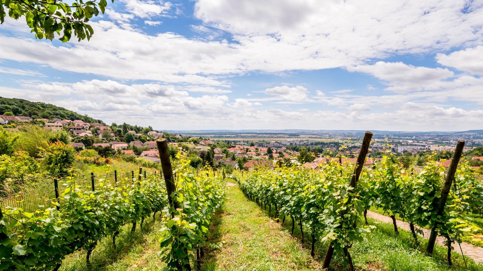 Dommartemont Usuc